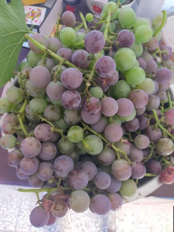 水果总洗不干净，试试这4个妙招，水果洗得安全放心