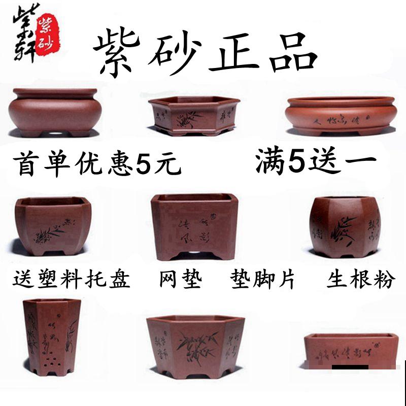 适合做盆景的植物，还得是瓜子黄杨，养护省心不麻烦