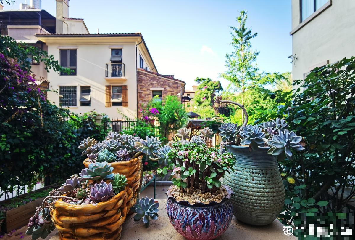 真正适合养花的院子，都有4个特点，利用好了院子变花园