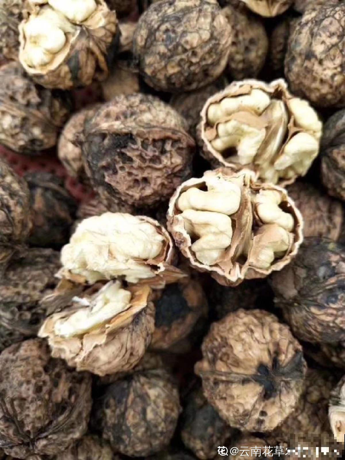 老中医爱养的60种植物，图文并茂特详细，种一盆养人养身心