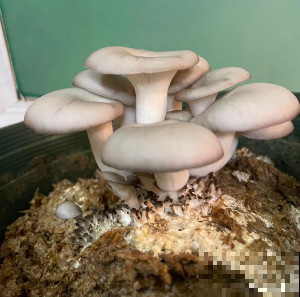 入秋后太燥，记住秋季饮食禁忌，越吃越健康