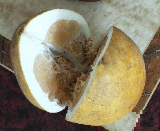 天然安全的驱蚊方法，驱蚊效果好，使用方便