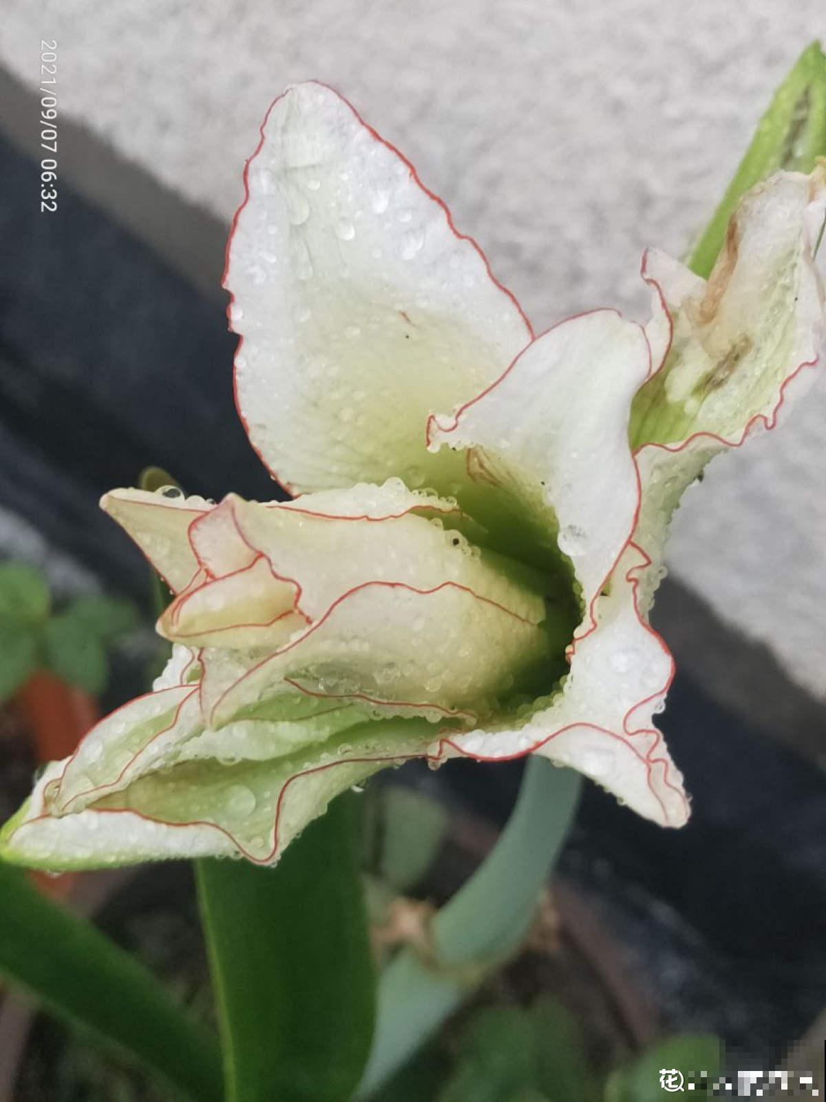 白露节气到,改变2点生活习惯,秋天才能健康度过 白露节气到,改变2点生活习惯,秋天才能健康度过