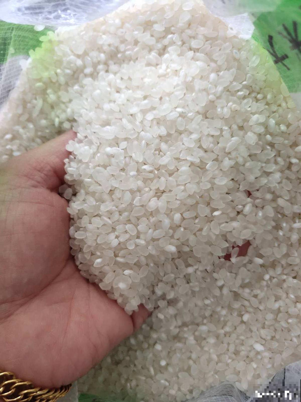 万能的淘米水，一滴都不要剩下，7种小妙招让你物尽其用