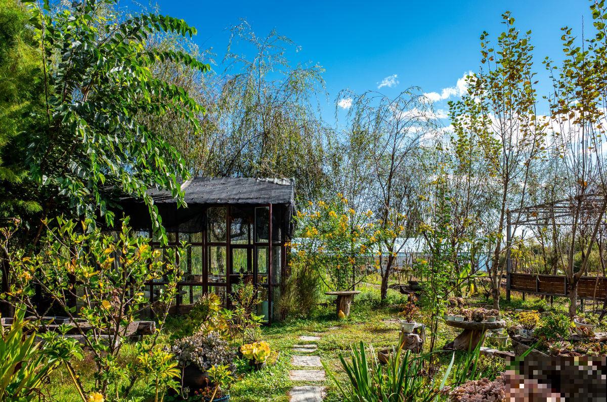 真正适合养花的院子，都有4个特点，利用好了院子变花园