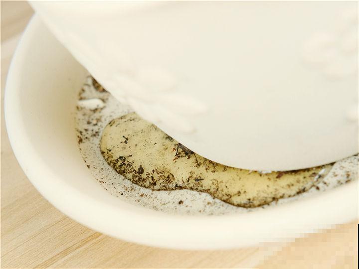 网购的花,拿到手后做4步,很快恢复状态 网购的花,拿到手后做4步,很快恢复状态