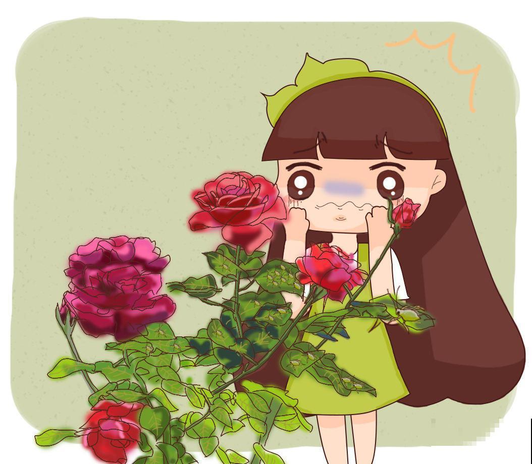 夏日太热，怕植物旱死？记住这4个妙招