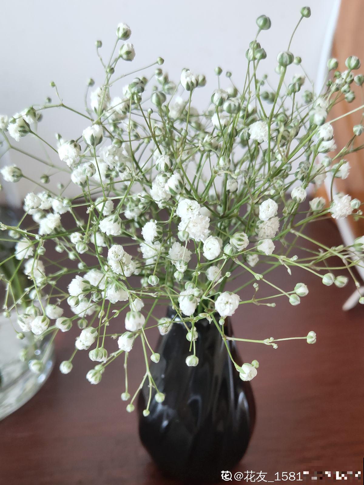 教师节来临，准备这8种花，陪老师温暖过节