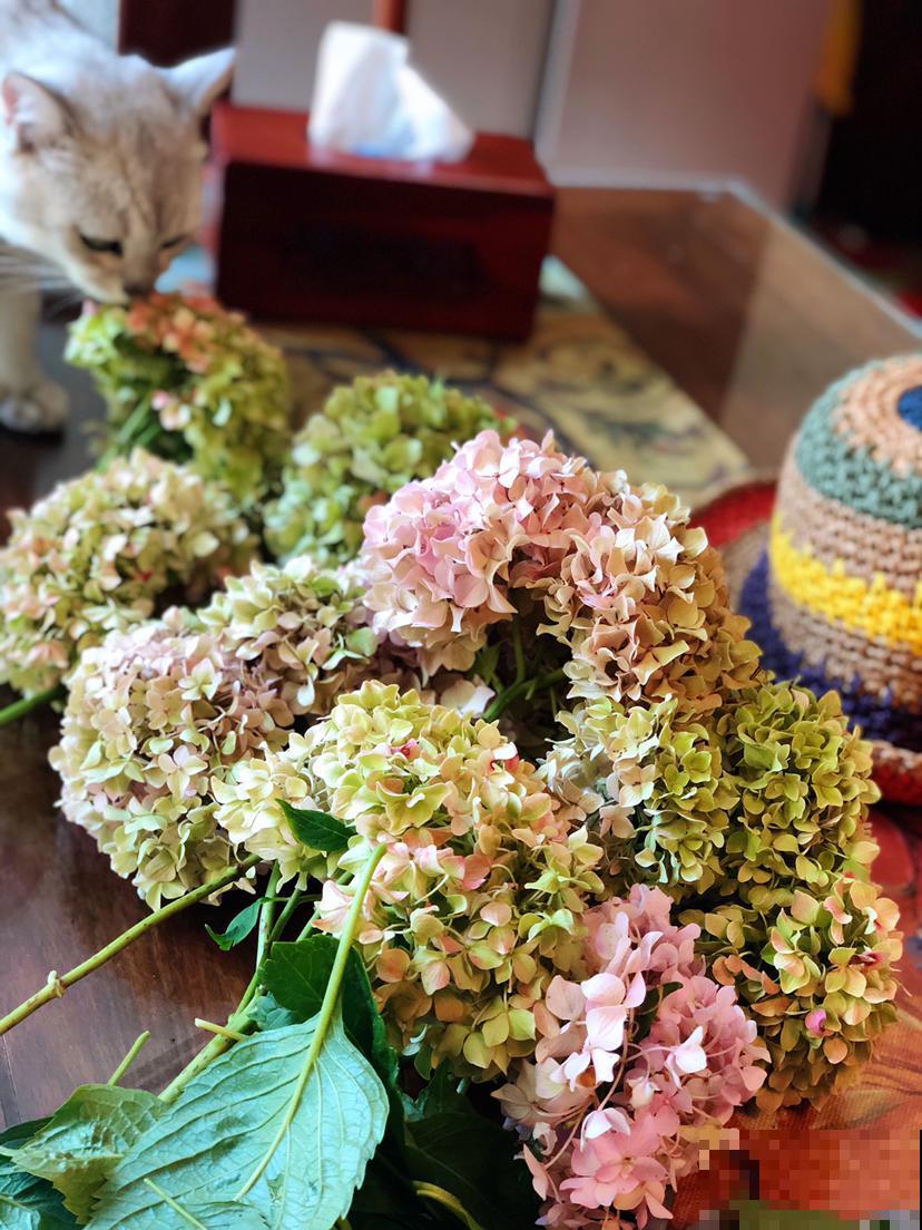 别只会风干,还有3种方法,干花一做一个成 别只会风干,还有3种方法,干花一做一个成