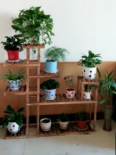 增加养花幸福感的“伴侣”，这3种必不可少，很容易就买到