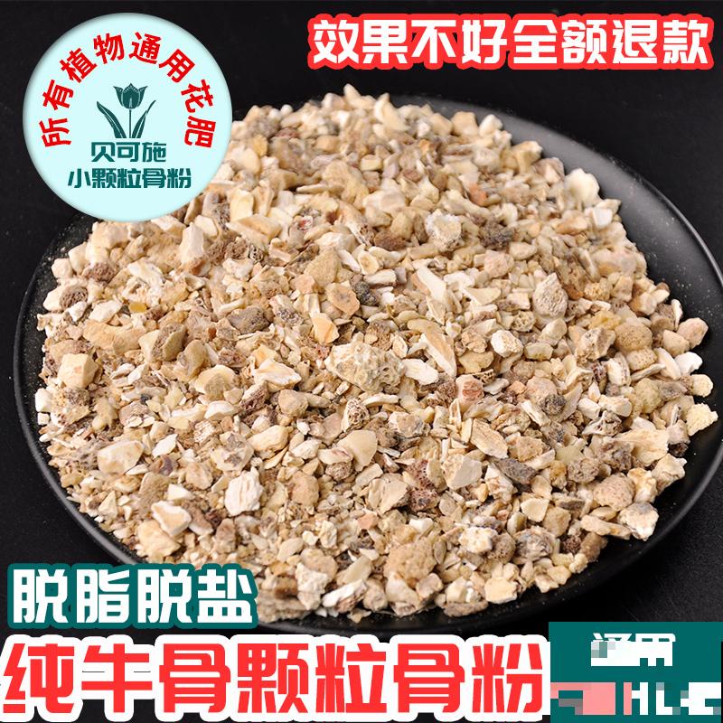 3种大叶子花，有人说“招鬼”有人说“招财”，到底是什么说法？