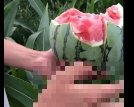 15万块钱的一个蜜瓜，到底有多好吃？