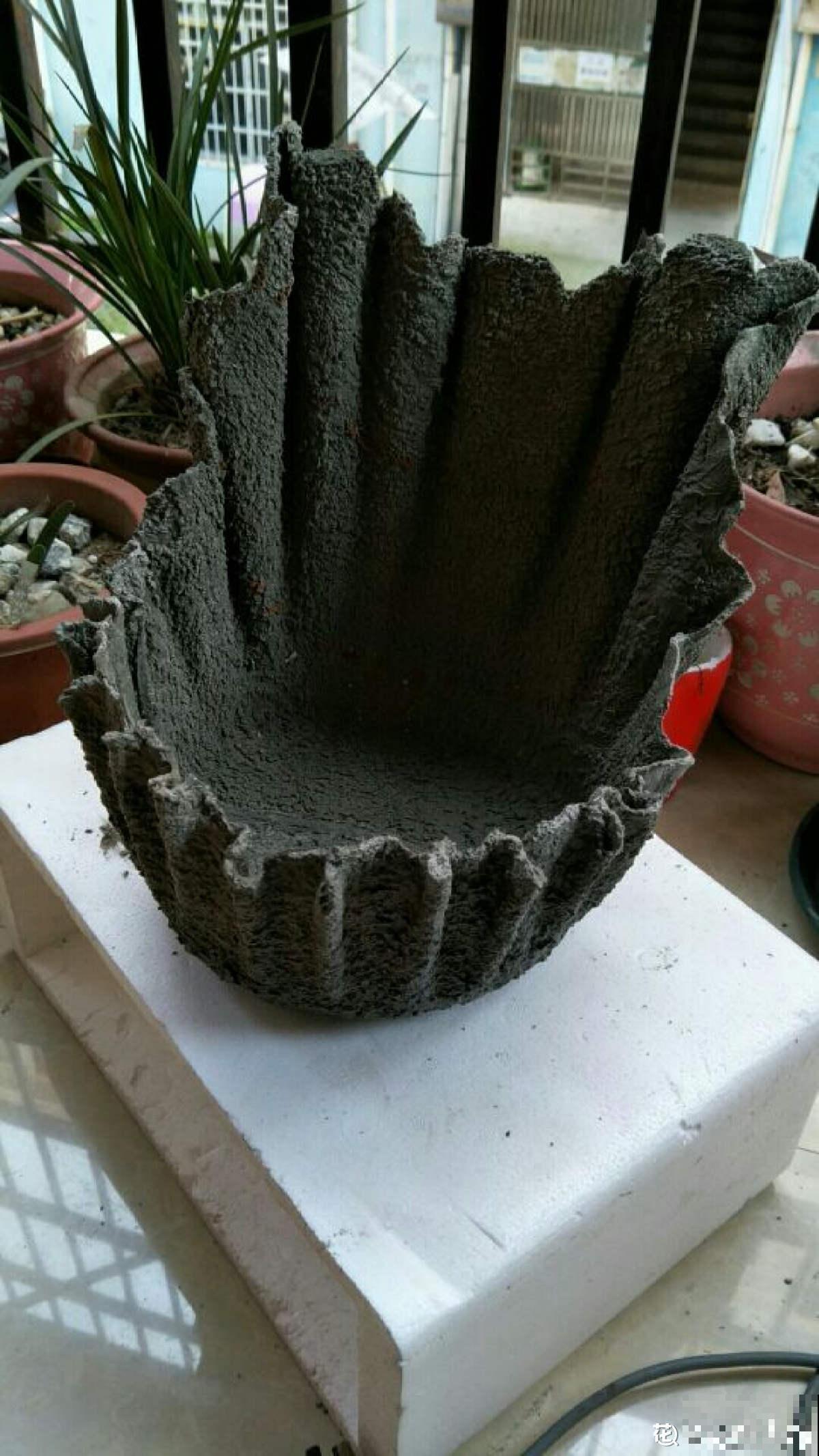 水泥也是养花好东西,千万别丢掉,省不少钱 水泥也是养花好东西,千万别丢掉,省不少钱