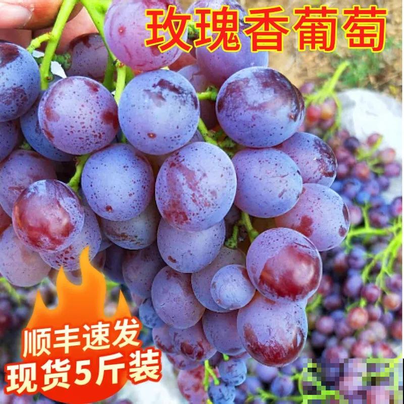 山东也是水果之乡！5种山东特色水果，你吃过几种