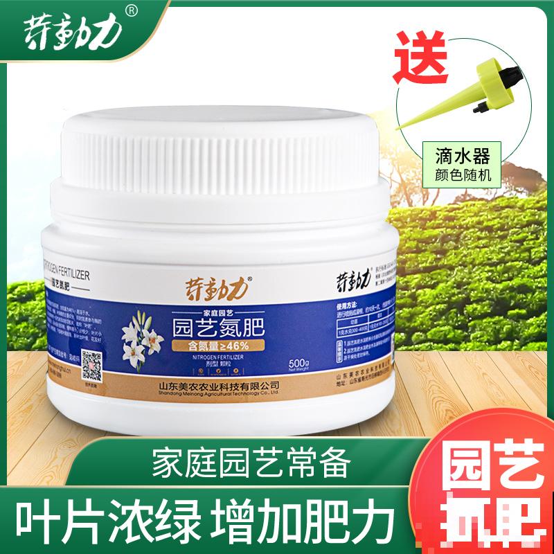 进入8月，梨树要注意3要点，养好了明年大丰收