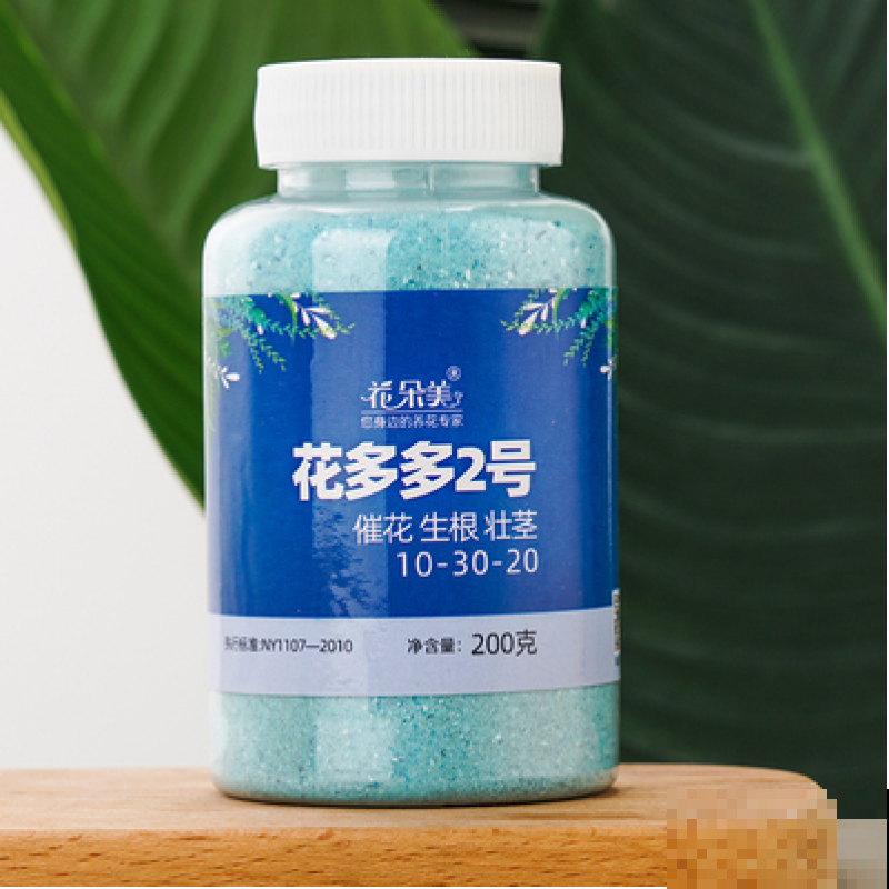 4个方面入手，教你如何养出爆盆昙花，快进来学习一下