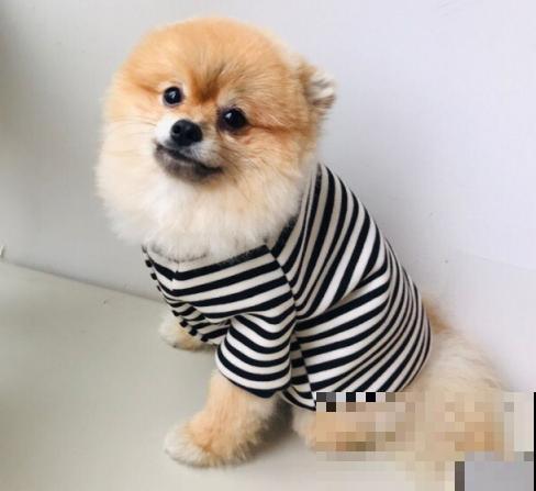 旧衣服怎么处理?有3个流向,最后一个太实用 旧衣服怎么处理?有3个流向,最后一个太实用