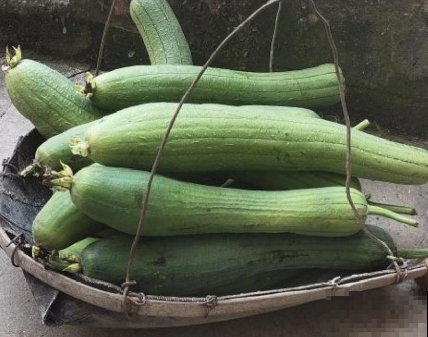 老人常说夏吃瓜，入夏就要多吃4种瓜，凉血去火对身体好