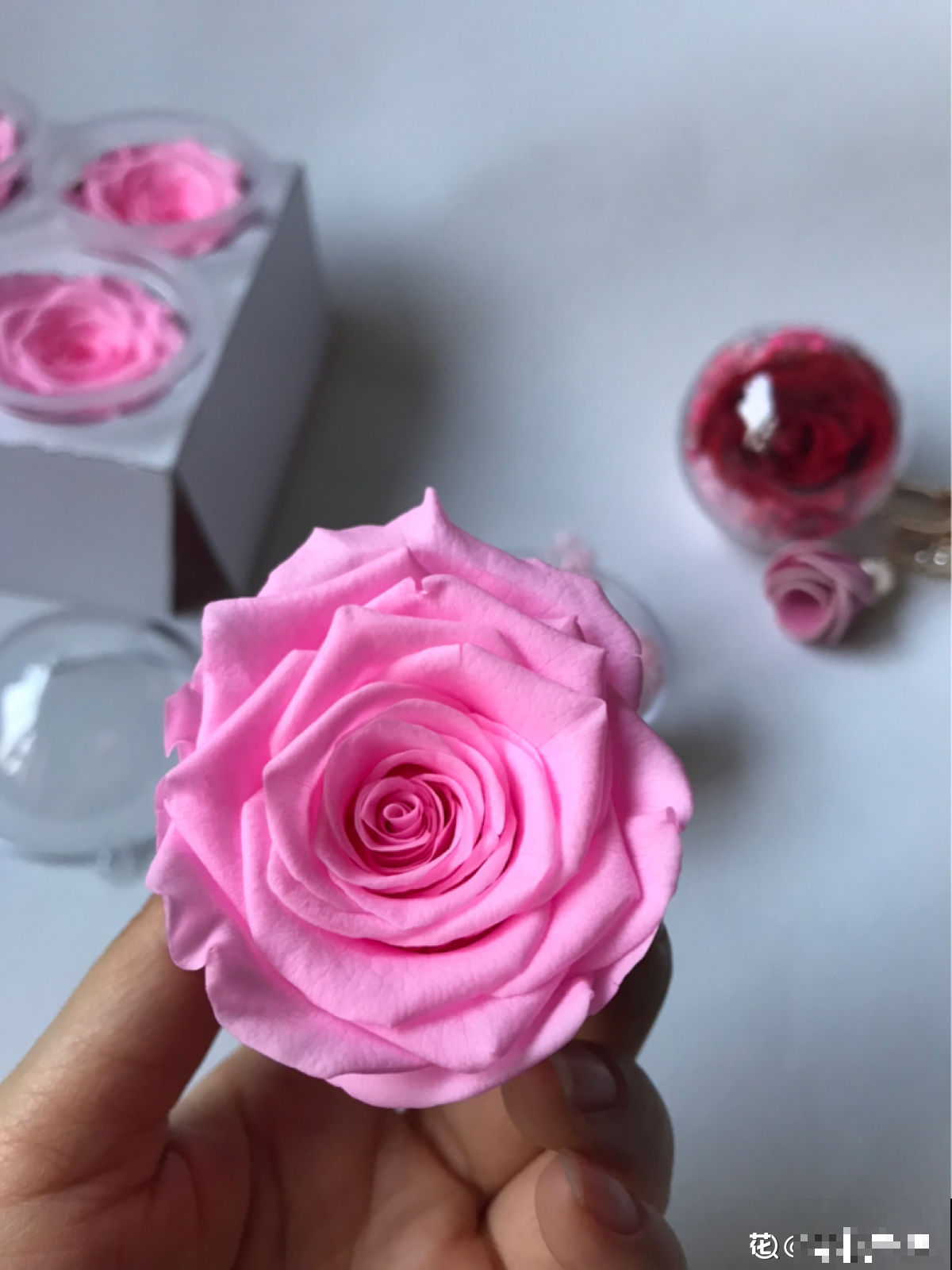 分不清永生花和干花？学会制作干花，让花期无限延长