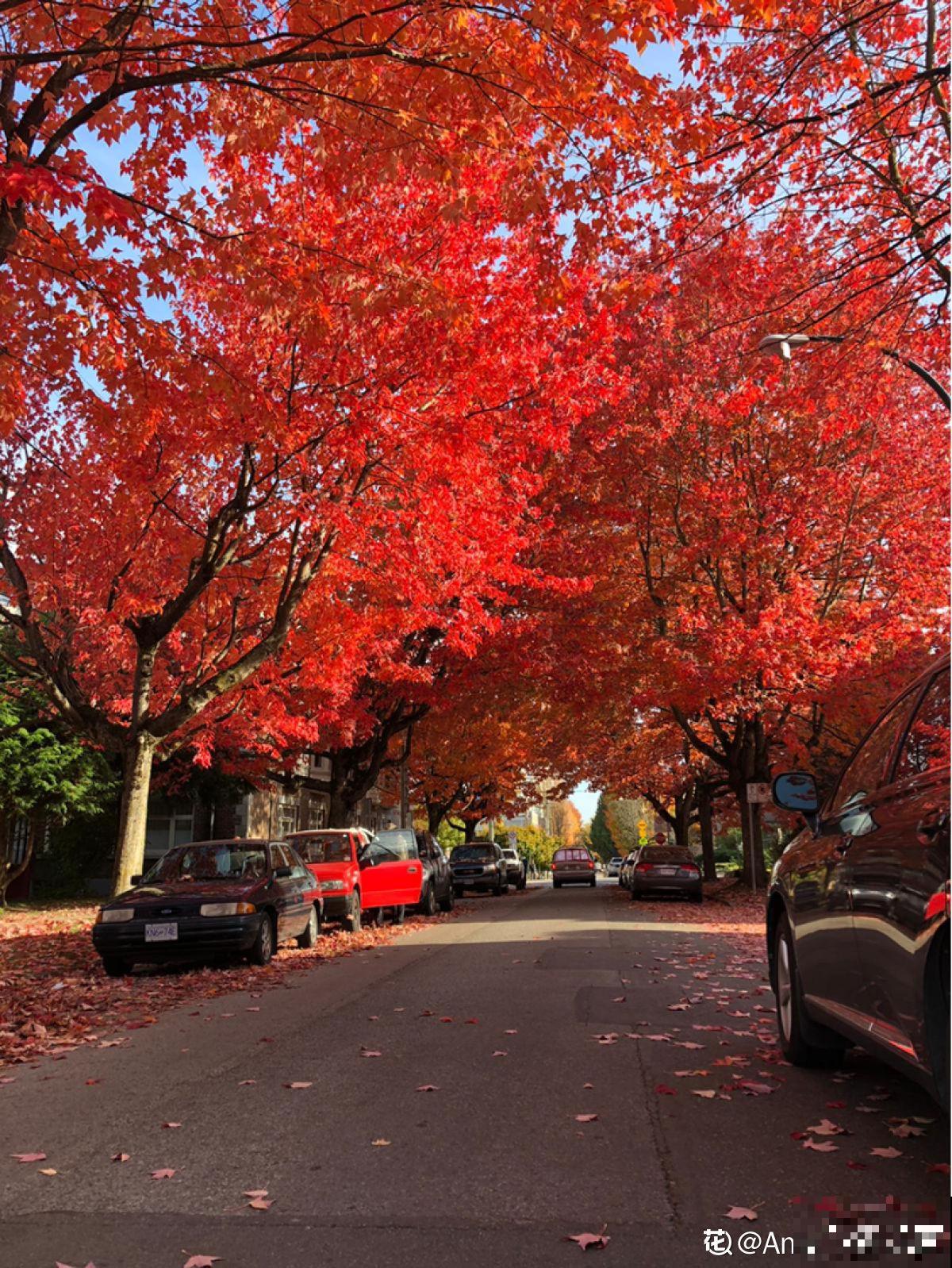 秋天又乏又燥,做好5件事,有效缓解乏和燥 秋天又乏又燥,做好5件事,有效缓解乏和燥