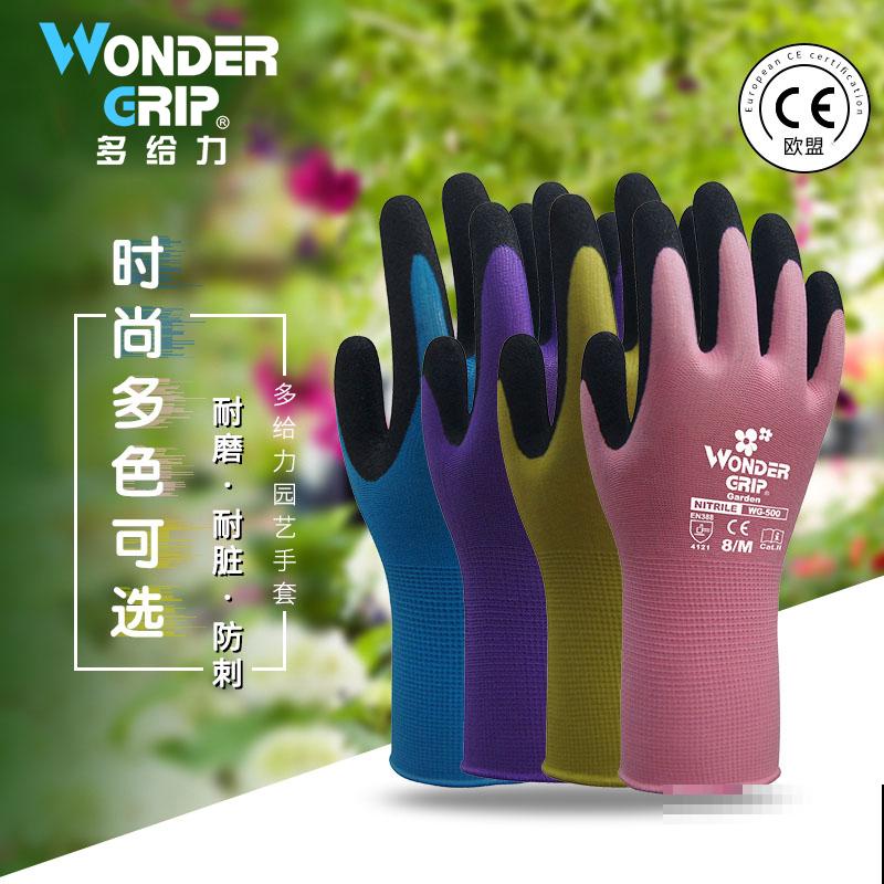 4种有毒花常在身边，还是得小心点，中毒就麻烦了