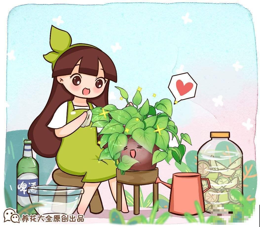 花市老板的养花绝招,今天全给你,一学一个准 花市老板的养花绝招,今天全给你,一学一个准