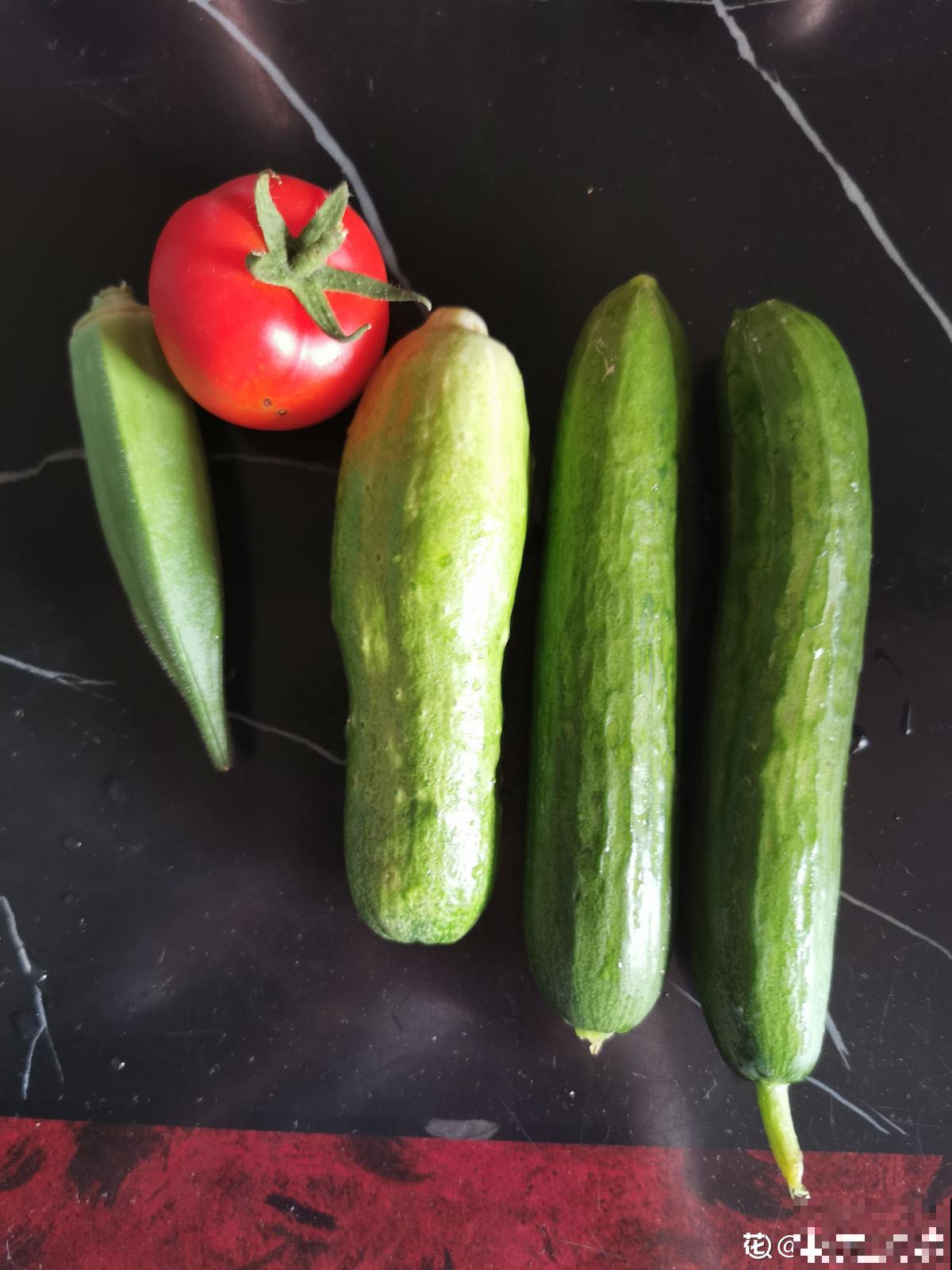 黄瓜养腻了，换一换水果黄瓜，养法相似，营养更高