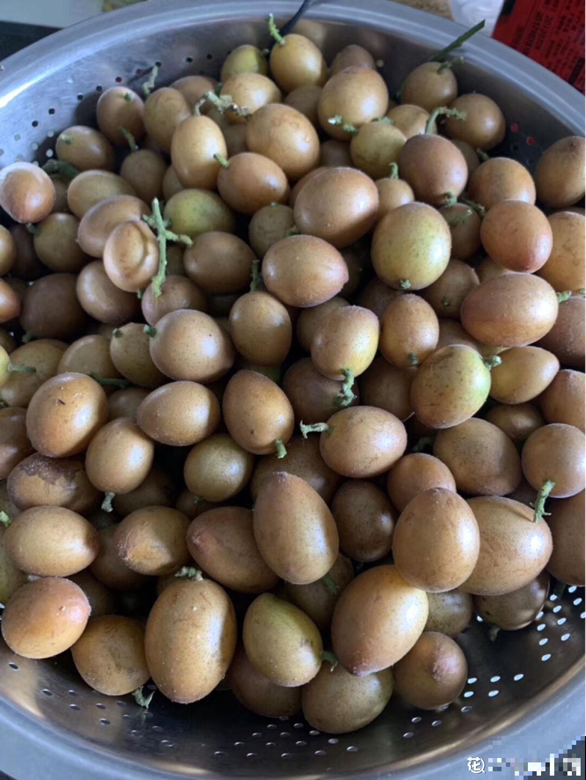 南方常见的黄皮果，妥妥的“黄水晶”，咬一口直流口水