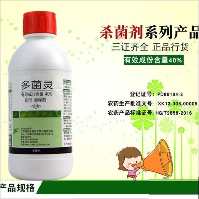 3种花长的跟“三胞胎”似的,还有“守家”的说法,适合居家养护 3种花长的跟“三胞胎”似的,还有“守家”的说法,适合居家养护