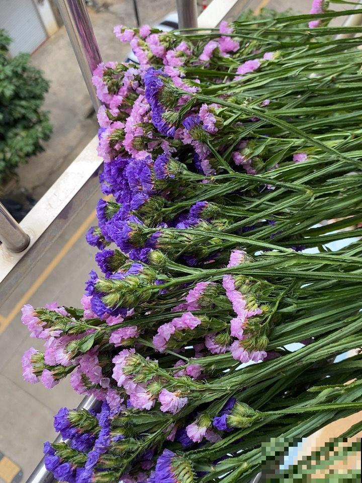 又是一年七夕,别只会送红玫瑰啦!这6种花,送给她更合适 又是一年七夕,别只会送红玫瑰啦!这6种花,送给她更合适