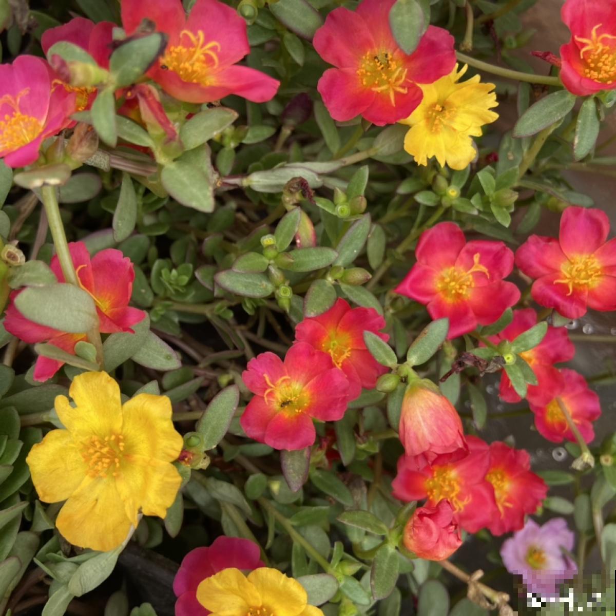 10个人生道理，年过半百的人更能理解，你赞同吗