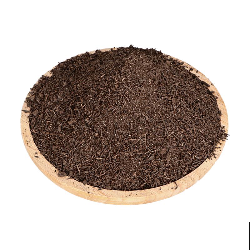 耐阴好养的“绿窗帘”，掐根枝条就能养，屋里没光也能长爆盆