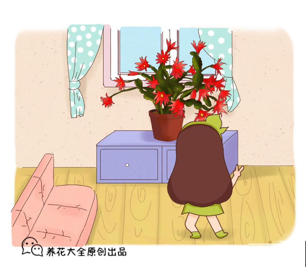 植株“中暑”如何救治？教你从4个方面出手，分分钟“妙手回春”