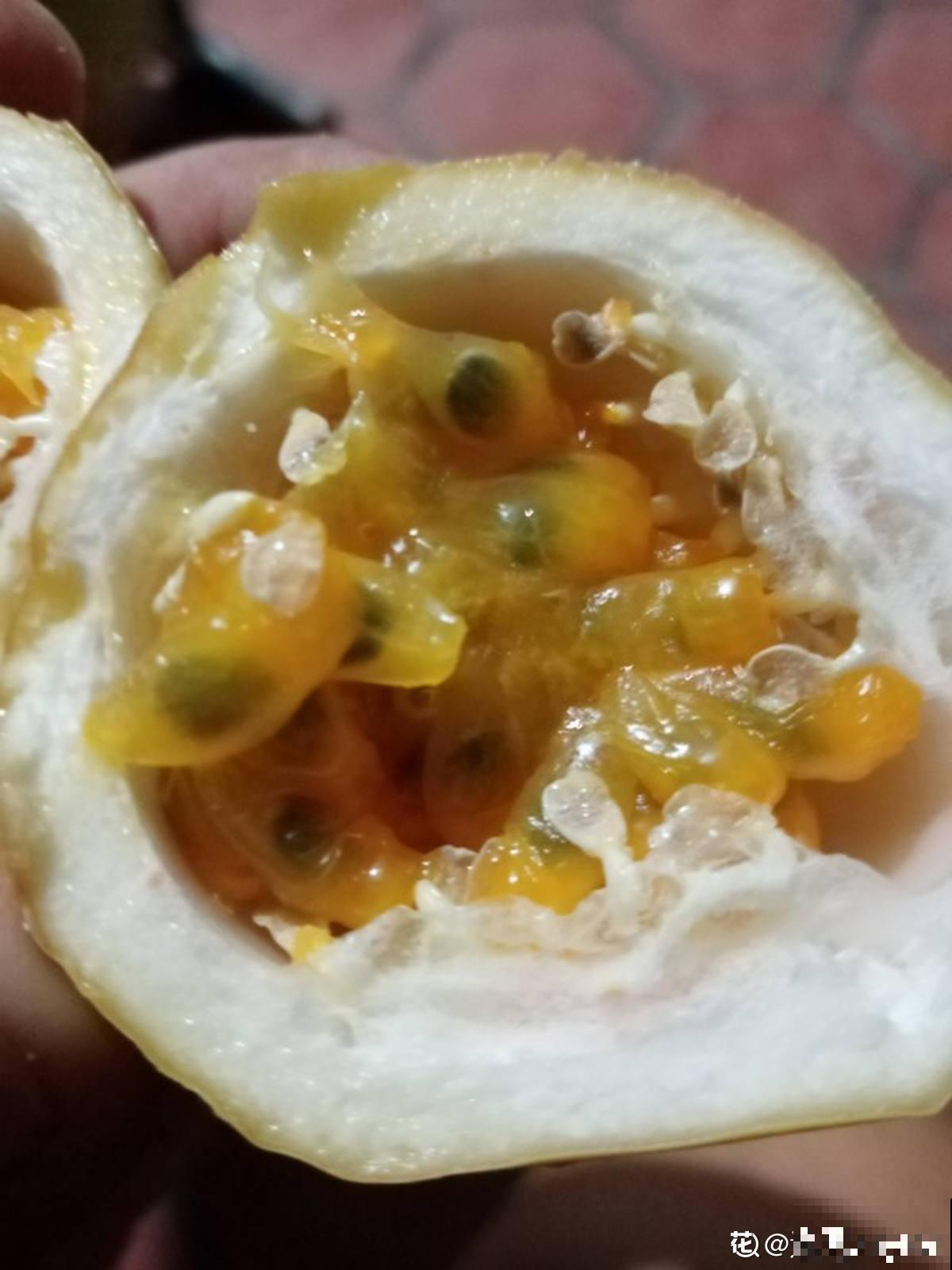 3种做法，做出多样的百香果，好吃又简单