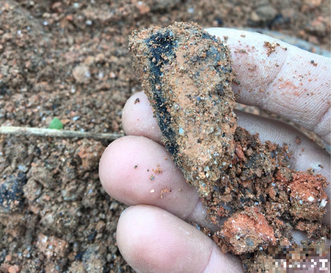 9种土别拿来养花,对花不好,容易黄叶烂根 9种土别拿来养花,对花不好,容易黄叶烂根