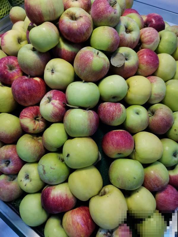 水果太甜含糖多?3种常见水果,好吃还不胖 水果太甜含糖多?3种常见水果,好吃还不胖