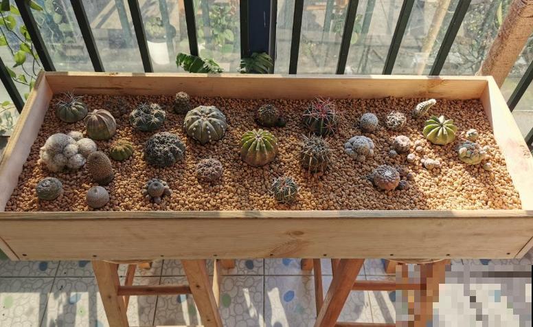 想养好花，选花盆很关键，5种材质花盆知识，快进来了解一下