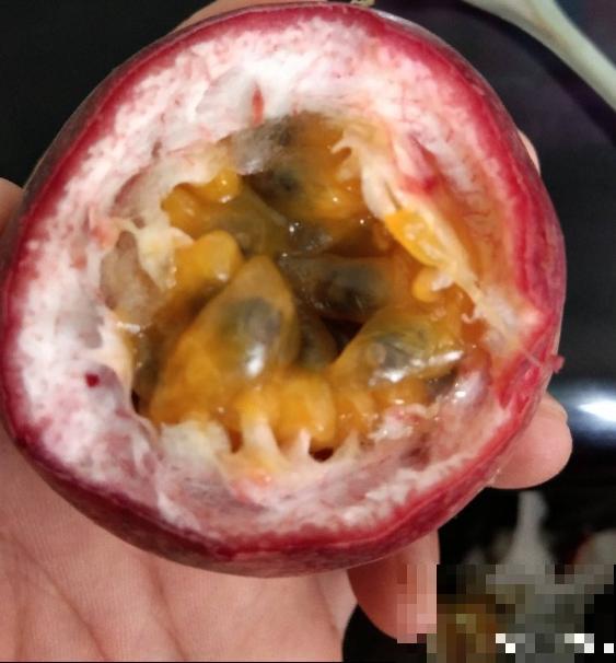 3种做法，做出多样的百香果，好吃又简单