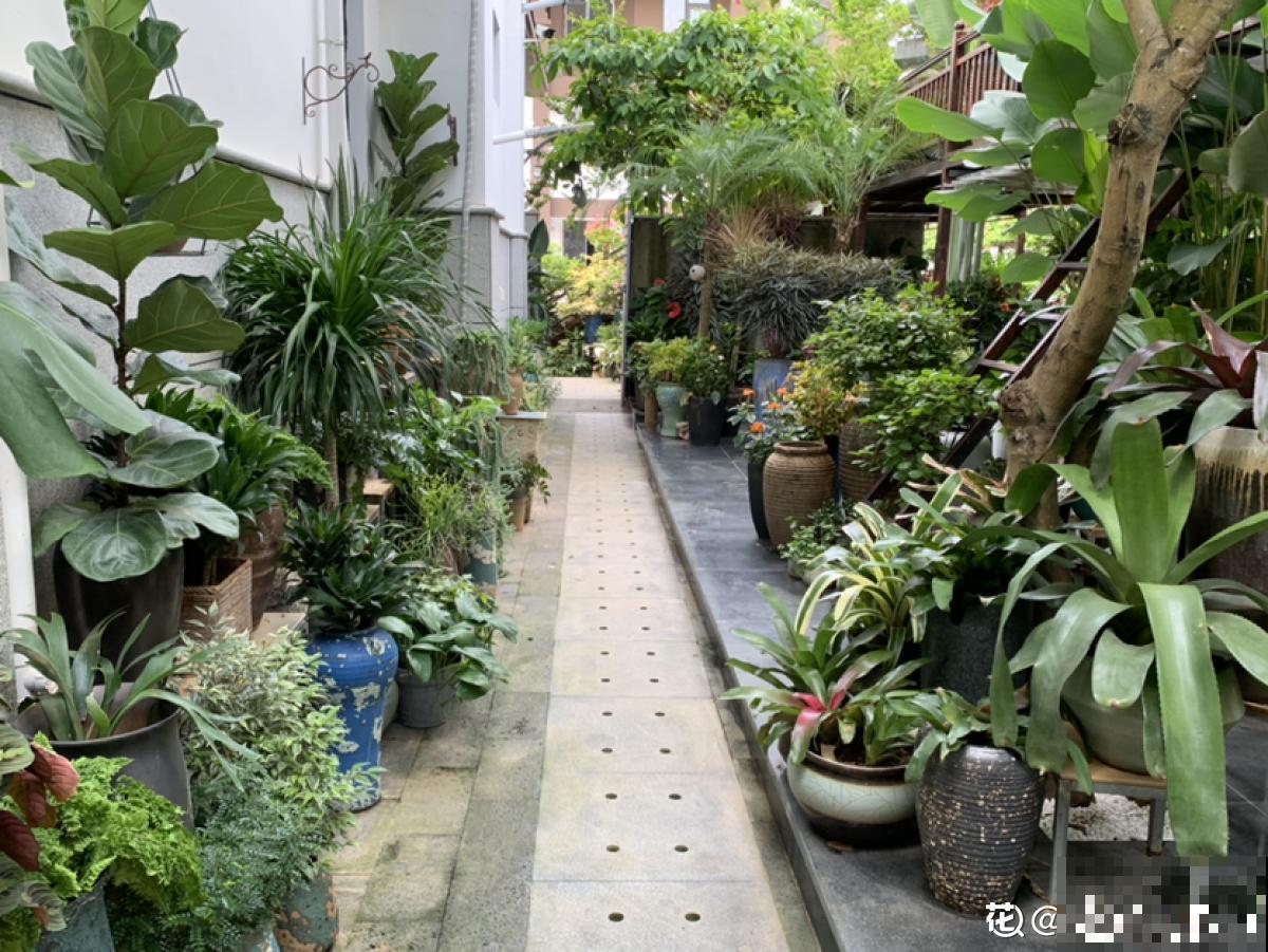 老两口花了一辈子积蓄,买了个郊区别墅养花,住了两年后悔了 老两口花了一辈子积蓄,买了个郊区别墅养花,住了两年后悔了