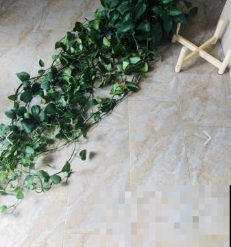 绿萝再好养也有窍门，4个方法，枝条像“喷泉”往外冒