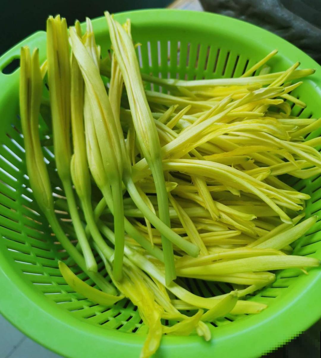 家门口长出这10种草,赶紧拔掉,不然会惹麻烦 家门口长出这10种草,赶紧拔掉,不然会惹麻烦