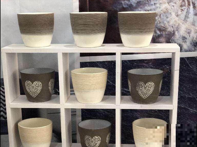 想养好花，选花盆很关键，5种材质花盆知识，快进来了解一下