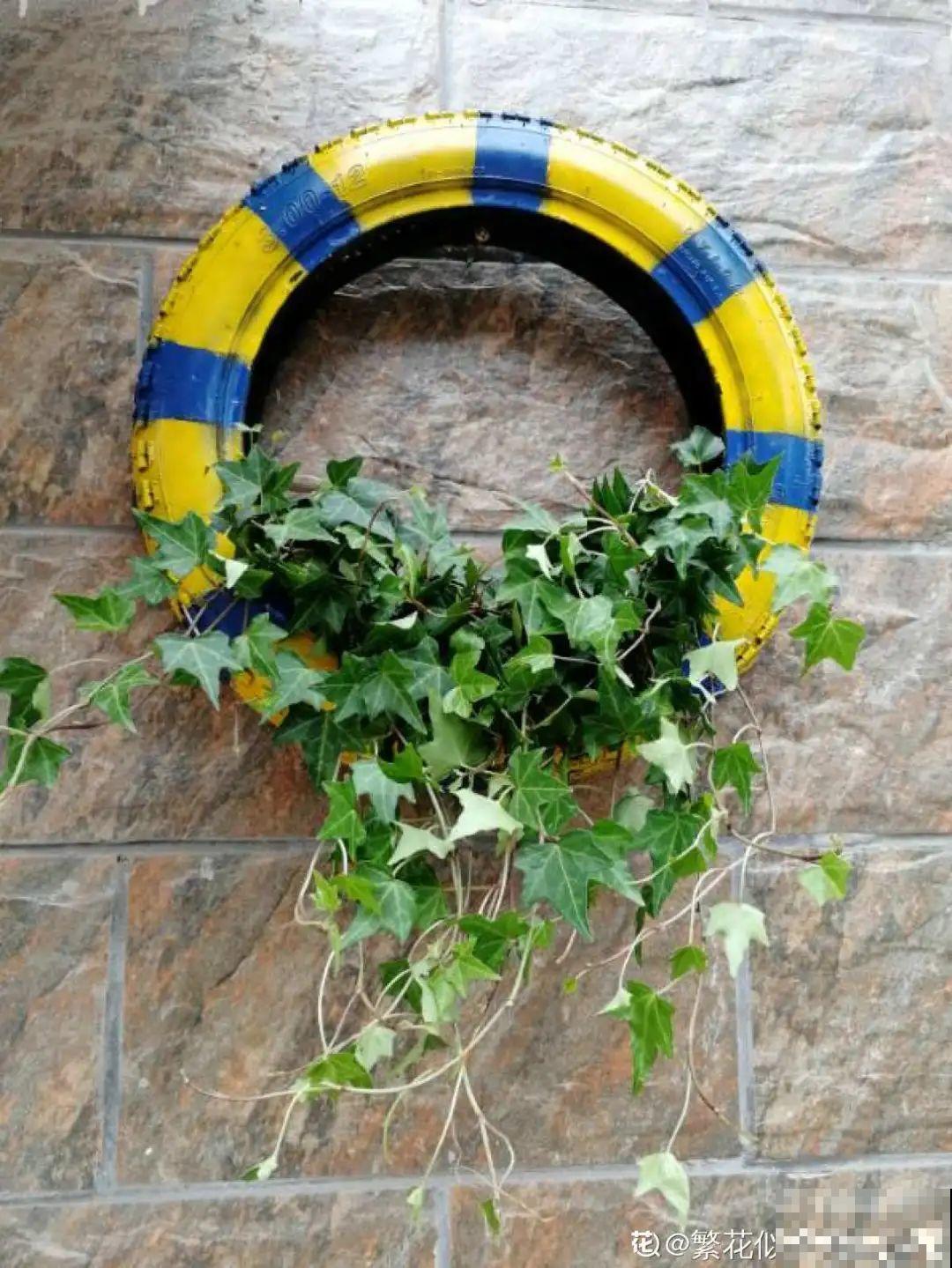 旧筷子、老干妈瓶别扔，拿来养花效果好，省下一笔养花钱