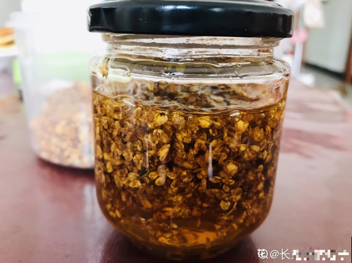 秋天院子里种棵桂花，“香飘十里”不为过，还能做成美味