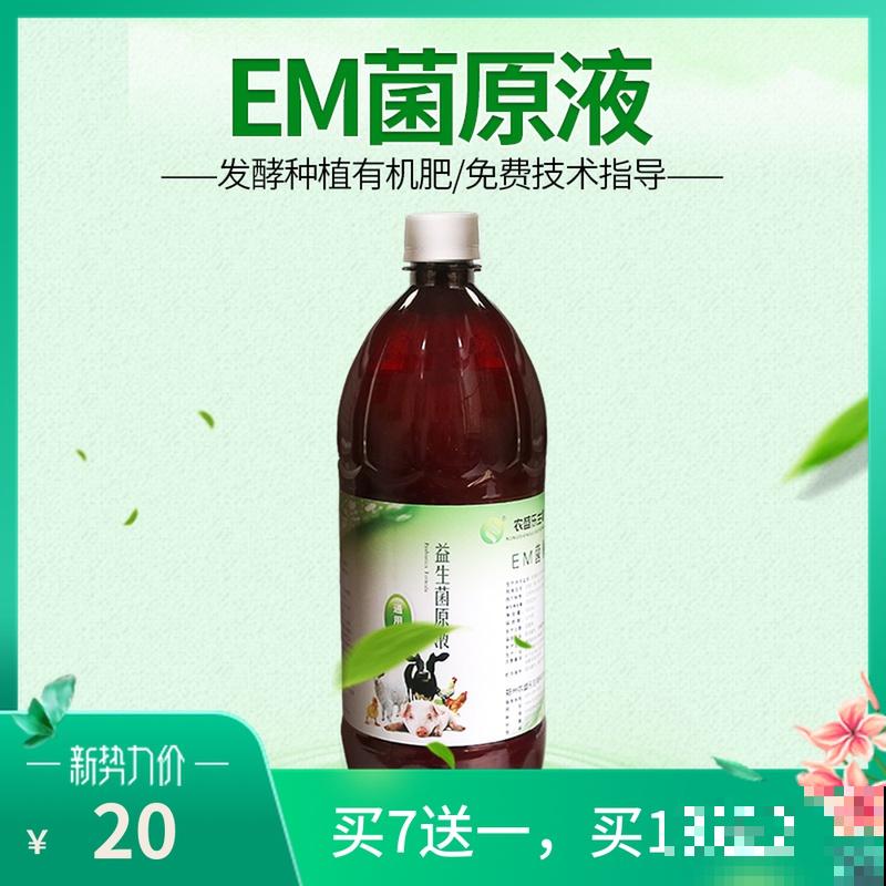 多肉长坏了别扔!剪一剪砍一砍,原地就能“满血复活” 多肉长坏了别扔!剪一剪砍一砍,原地就能“满血复活”