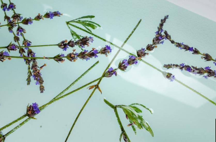 鲜花做成干花，颜色质感有特点，还可以放在家中点缀