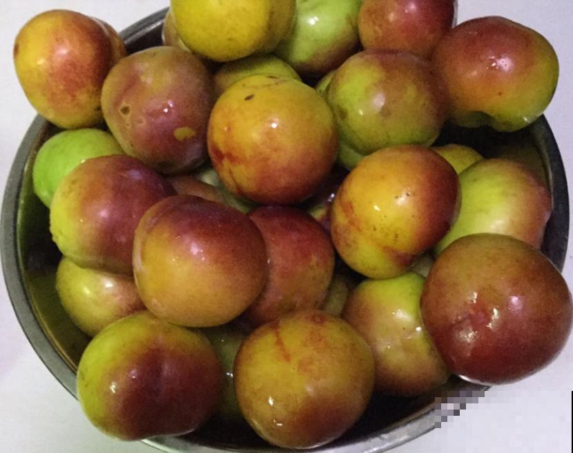 太空育种,究竟是什么神奇育种术? 太空育种,究竟是什么神奇育种术?