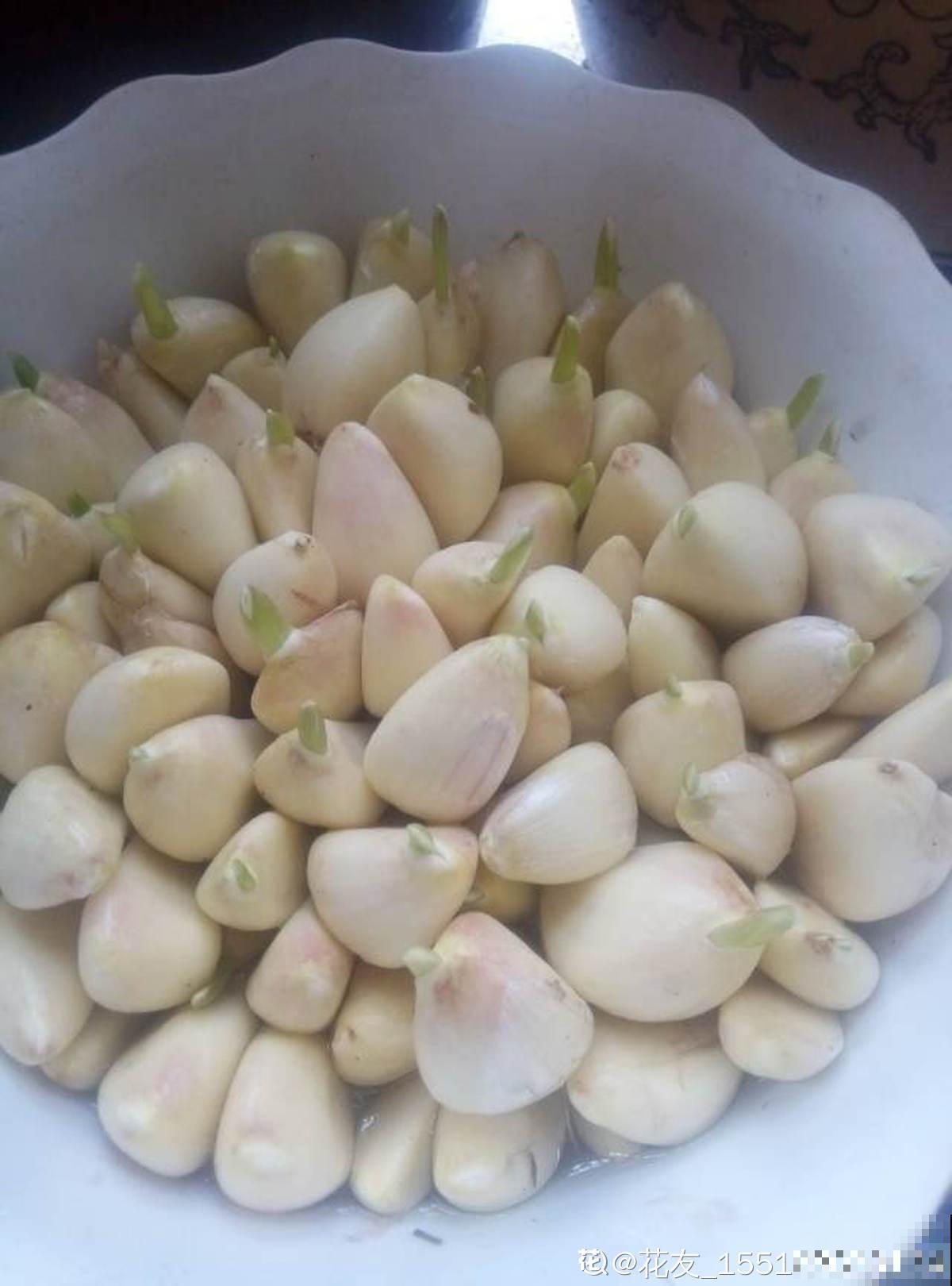 大蒜的7个妙用，一蒜在手，居家不愁