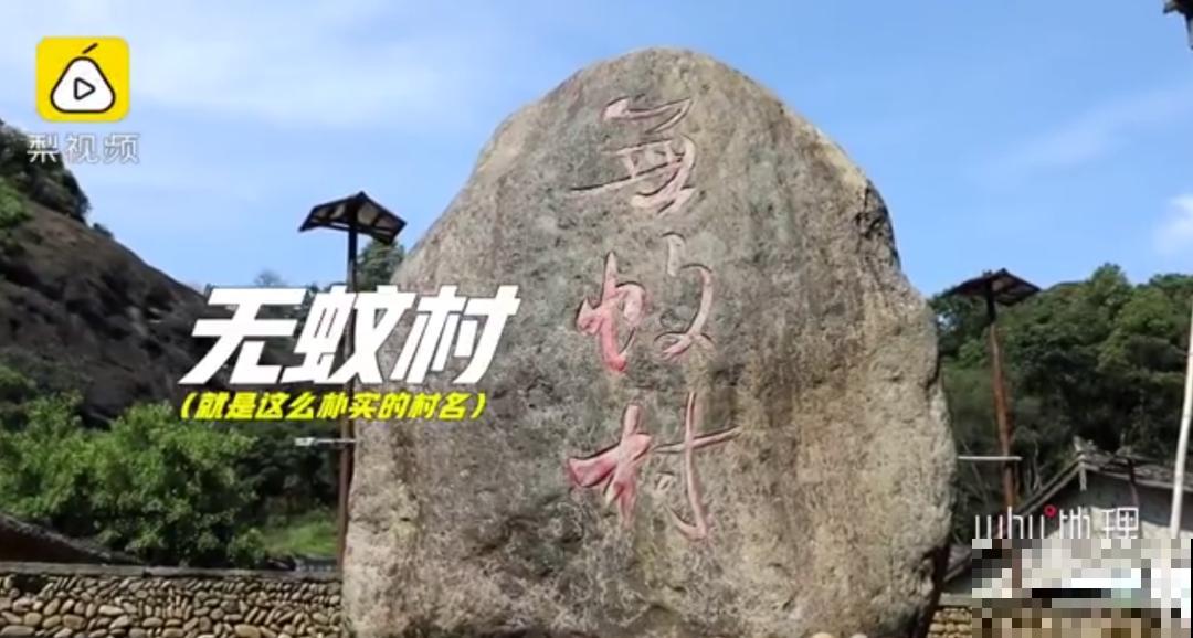 江西无蚊村，种满“驱蚊树”，一年四季没蚊子