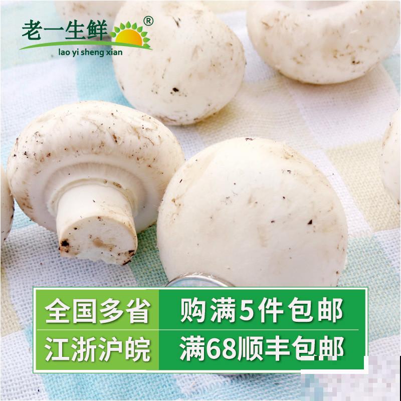 白露节气到,改变2点生活习惯,秋天才能健康度过 白露节气到,改变2点生活习惯,秋天才能健康度过